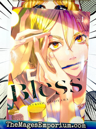 Bless Vol 1 - The Mage's Emporium Kodansha outofstock UPDATEMETA Used English Manga Japanese Style Comic Book