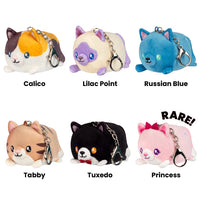 Squishable: Kitty Blind Box - Series 1 Cozy Cats
