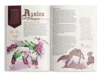 The Field Guide to Floral Dragons: Explorer's Box Set (5e D&D)