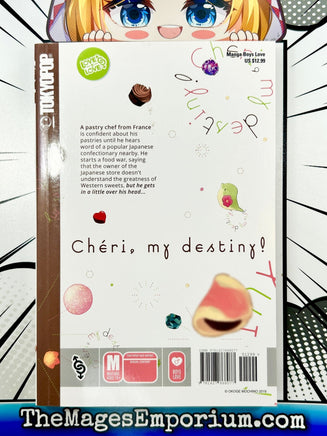 Cheri, My Destiny! - The Mage's Emporium Tokyopop 2409 BackInStock Used English Manga Japanese Style Comic Book