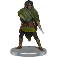 D&D: Icons of the Realms - Dragonlance - Warrior Set