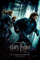 Harry Potter Collection Game & Movie Bundle (PlayStation 2)
