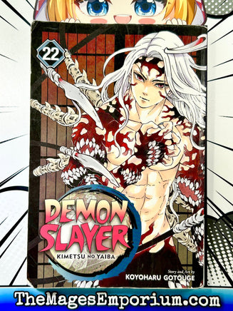 Demon Slayer Vol 22 - The Mage's Emporium Viz Media 2409 BackInStock Used English Manga Japanese Style Comic Book