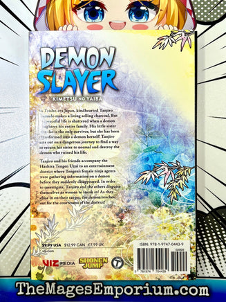 Demon Slayer Vol 9 - The Mage's Emporium Viz Media 2410 BackInStock Used English Manga Japanese Style Comic Book