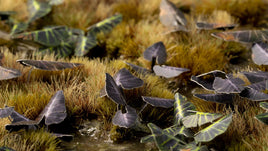 Gamers Grass - Laser Plants - Black Magic Taro