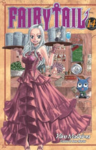 Fairy Tail Vol 14 Five Below Cover