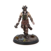 Fallout: Miniatures - Children of Atom: Priesthood