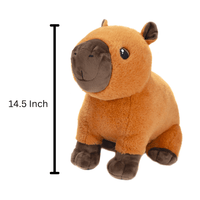 Fiesta: Earth Pals - 14.5 inch Capybara Plush - The Mage's Emporium Shumi Toys & Gifts Shopify Collective Shumi Toys & Gifts Used English Plush Japanese Style Comic Book
