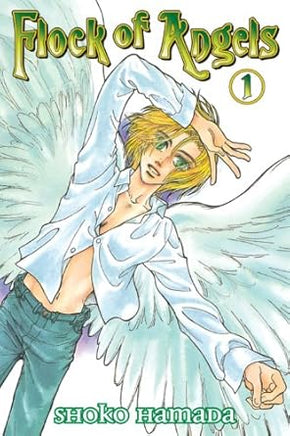 Flock of Angels Vol 1 - The Mage's Emporium Aurora 2411 UPDATEMETA Used English Manga Japanese Style Comic Book