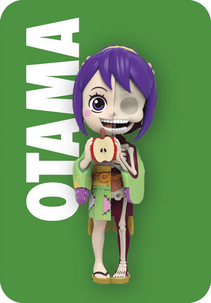 Freeny’s Hidden Dissectibles: One Piece (Ladies Edition) Blind Box (1 Blind Box) - The Mage's Emporium Super Anime Store Shopify Collective Super Anime Store Used English Figure Japanese Style Comic Book