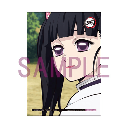 GEM Series: Demon Slayer: Kimetsu no Yaiba - Palm Size Kanao Tsuyuri (Tenohira) with Premium Gift - The Mage's Emporium Shumi Toys & Gifts Shopify Collective Shumi Toys & Gifts Used English GEM Series Japanese Style Comic Book