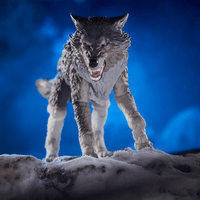 G.I. Joe Classified Series - Snake Eyes and Timber Alpha Commandos 6 - Inch Action Figure - The Mage's Emporium Shumi Toys & Gifts Shopify Collective Shumi Toys & Gifts Used English G.I. Joe Classified Series Japanese Style Comic Book