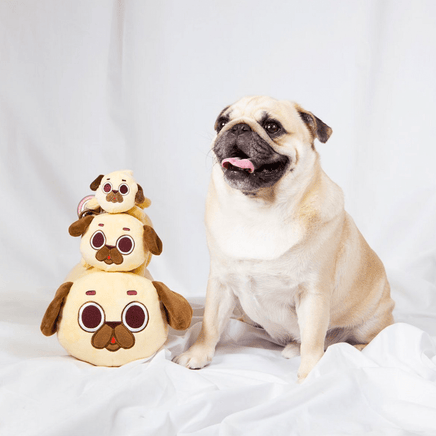 Good Smile Company: Puglie Pug Plush Medium With Hang Clip - The Mage's Emporium Shumi Toys & Gifts Shopify Collective Shumi Toys & Gifts Used English Plush Japanese Style Comic Book