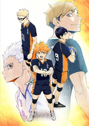 Haikyuu! Wallscroll - The Mage's Emporium Super Anime Store Shopify Collective Super Anime Store Used English Figures Japanese Style Comic Book