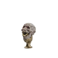 Indiana Jones Adventure Series 6-Inch Action Figures - Select Figure(s)