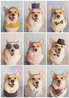 Jeneral Collectives: wholesome times - Incorgnito 1000 Piece Jigsaw Puzzle - The Mage's Emporium Shumi Toys & Gifts Shopify Collective Shumi Toys & Gifts Used English Jigsaw Puzzle Japanese Style Comic Book