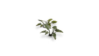 Gamers Grass - Laser Plants - Lords and Ladies