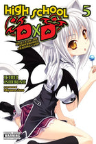 High School Dxd Light Novel Vol 05