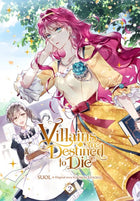 Villains Are Destined to Die Vol 2 Full Color