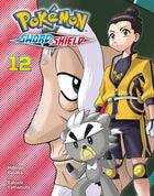 Pokemon Sword and Shield Vol 12