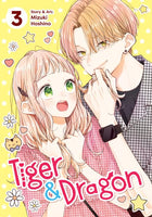 Tiger & Dragon Vol 03