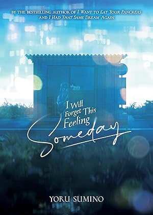 I Will Forget This Feeling Someday Light Novel Light Novel - The Mage's Emporium Seven Seas Used English Light Novel Japanese Style Comic Book