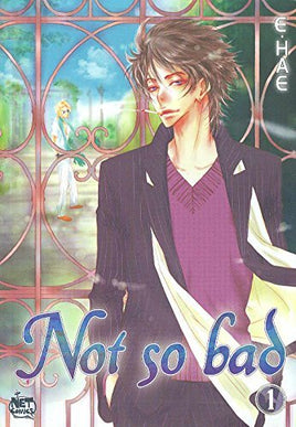 Not So Bad Vol 1 - The Mage's Emporium Net Comics 2408 UPDATEMETA Used English Manga Japanese Style Comic Book