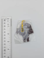 Kasumi Nakasu Love Live Rubber Strap