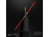 Star Wars: The Black Series - Rey: Dark Side Vision (Rise of Skywalker) 6 - Inch Action Figure - The Mage's Emporium Shumi Toys & Gifts Shopify Collective Shumi Toys & Gifts Used English The Black Series Japanese Style Comic Book
