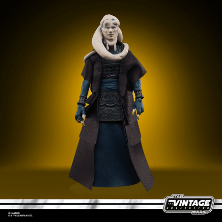 Star Wars: The Vintage Collection - Bib Fortuna 3 3/4 - Inch Action Figure - The Mage's Emporium Shumi Toys & Gifts Shopify Collective Shumi Toys & Gifts Used English The Vintage Collection Japanese Style Comic Book