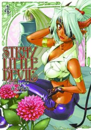 Stray Little Devil Vol 4 - The Mage's Emporium Dr. Master 2501 UPDATEMETA Used English Manga Japanese Style Comic Book