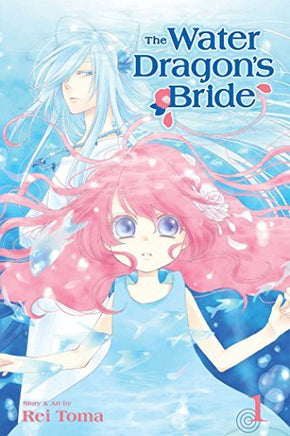 The Water Dragon's Bride Vol 1 - The Mage's Emporium Viz Media outofstock UPDATEMETA Used English Manga Japanese Style Comic Book