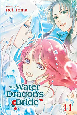 The Water Dragon's Bride Vol 11 - The Mage's Emporium Viz Media outofstock UPDATEMETA Used English Manga Japanese Style Comic Book