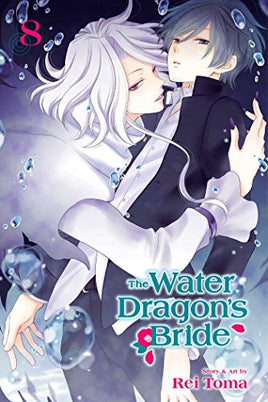 The Water Dragon's Bride Vol 8 - The Mage's Emporium Viz Media outofstock UPDATEMETA Used English Manga Japanese Style Comic Book