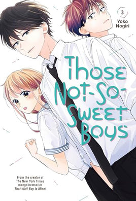 Those Not-So-Sweet Boys Vol 3 - The Mage's Emporium Kodansha 2404 alltags description Used English Manga Japanese Style Comic Book