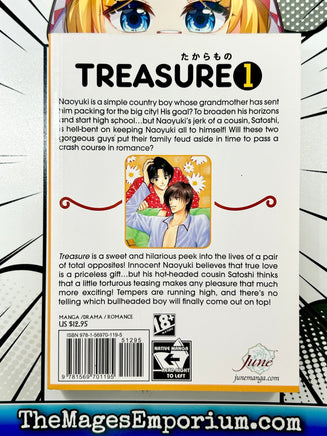 Treasure Vol 1 - The Mage's Emporium June 2408 UPDATEMETA Used English Manga Japanese Style Comic Book