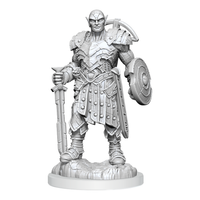 D&D: Nolzur's Marvelous Miniatures - Earth Genasi Fighter