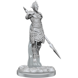 D&D: Nolzur's Marvelous Miniatures - Sea Elf Fighters