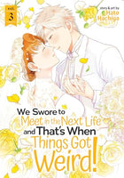 We Swore To Meet in the Next Life and That's When Things Got Weird Vol 3 - The Mage's Emporium Seven Seas outofstock UPDATEMETA Used English Manga Japanese Style Comic Book