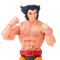 Wolverine Marvel Legends Series 6 - Inch Action Figure 5 - Pack - The Mage's Emporium ToyShnip Shopify Collective ToyShnip Used English Action & Toy Figures Japanese Style Comic Book