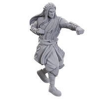 D&D: Nolzur's Marvelous Miniatures - Archdruid & Martial Arts Adept