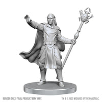 D&D Nolzur's Marvelous Miniatures: Drow Mage & Yochlol