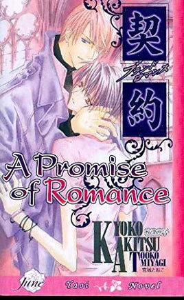 A Promise of Romance - The Mage's Emporium June Missing Author Used English Light Novel Japanese Style Comic Book
