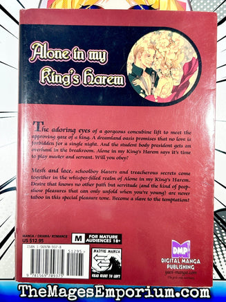 Alone in my King's Harem - The Mage's Emporium DMP 2312 copydes yaoi Used English Manga Japanese Style Comic Book