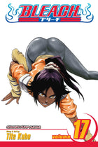 Bleach Vol 17