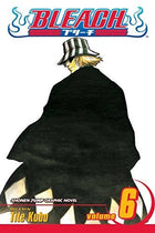 Bleach Vol 6