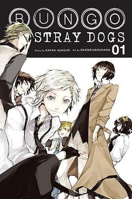 Bungo Stray Dogs Vol 1 - The Mage's Emporium Yen Press Missing Author Used English Manga Japanese Style Comic Book