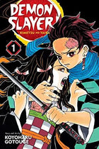 Demon Slayer Vol 1-4 Set