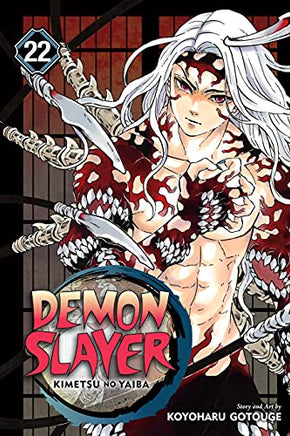 Demon Slayer Vol 22 - The Mage's Emporium Viz Media Teen Update Photo Used English Manga Japanese Style Comic Book