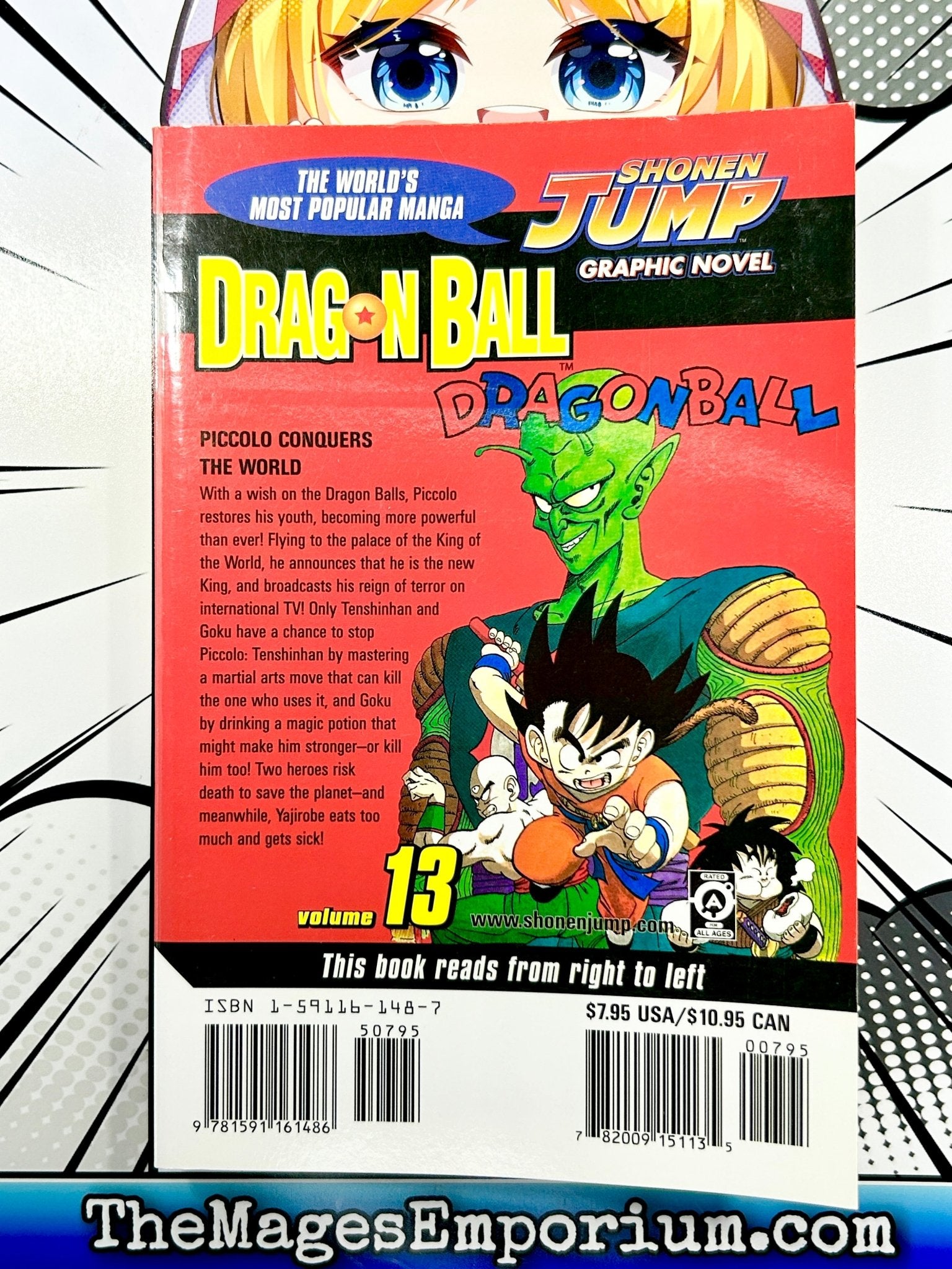 Dragon Ball Z Manga Volume 13